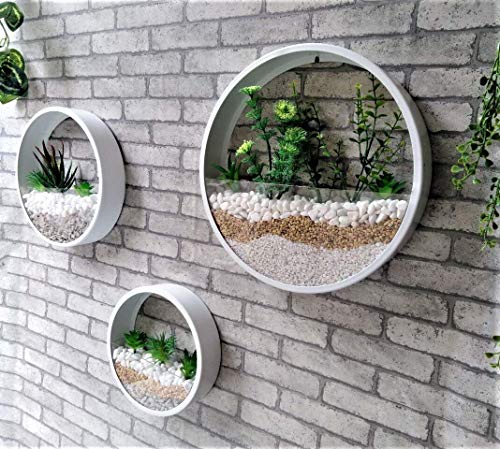 Macetas Colgantes Pared Modernas,Maceta para Flores Pared Colgante Florero DIY Bonsáis con Soporte Extraíble para Sala de Estar Ronda Metal Vaso Jarrones Macetero Plantador con Orificio Drenaje