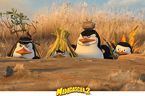 Madagascar 2 [Alemania] [Blu-ray]