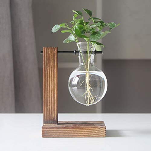 Magiin Florero de Vidrio Macetero con Soporte de Madera Jarrón de Vidrio Transparente para Jardinería Planta de Hidroponía Decoración de Escritorio Casa Boda (A)