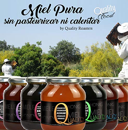 Miel pura de abeja 100%. Miel cruda de Eucalipto. 1 Kg. Producida en España. Sin pasteurizar ni calentar. Artesana de alta calidad. Tarro de cristal. Gran variedad de exquisitos sabores.