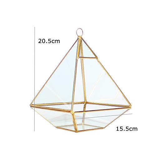 MINGZE terrario geométrico, Cristal, para Plantas suculentas, del Botánico, de la Boda, Tabla (15.5 * 15.5 * 20.5CM, Dorado El Cobre)