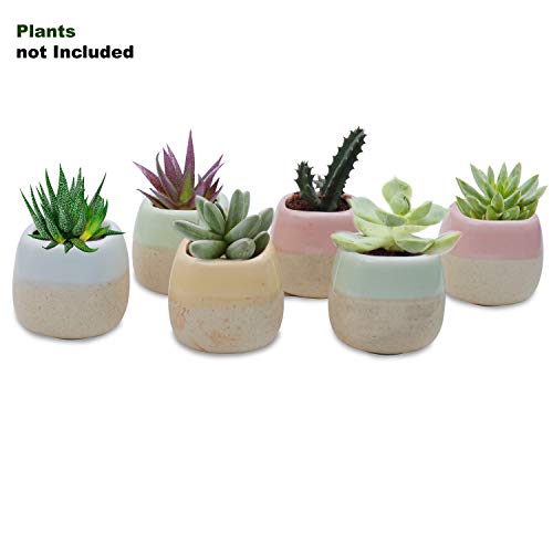 Mini Macetas Ceramica (Pack de 6) - 5.5 x 5.5 cm de Alto - Set Macetas Suculentas con Desagüé - Maceteros Decorativos - Ideal para el Hogar, Oficina, Interiores, Exteriores, Decoración del Jardín