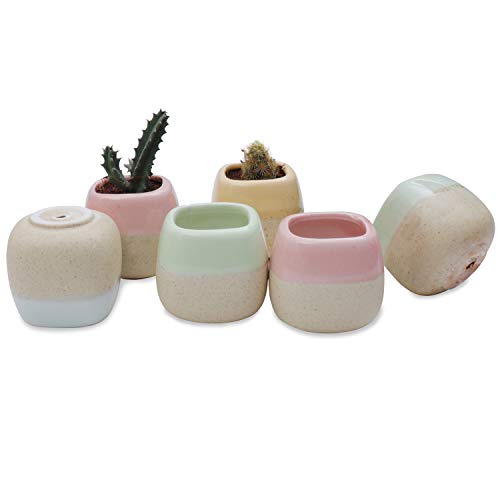 Mini Macetas Ceramica (Pack de 6) - 5.5 x 5.5 cm de Alto - Set Macetas Suculentas con Desagüé - Maceteros Decorativos - Ideal para el Hogar, Oficina, Interiores, Exteriores, Decoración del Jardín