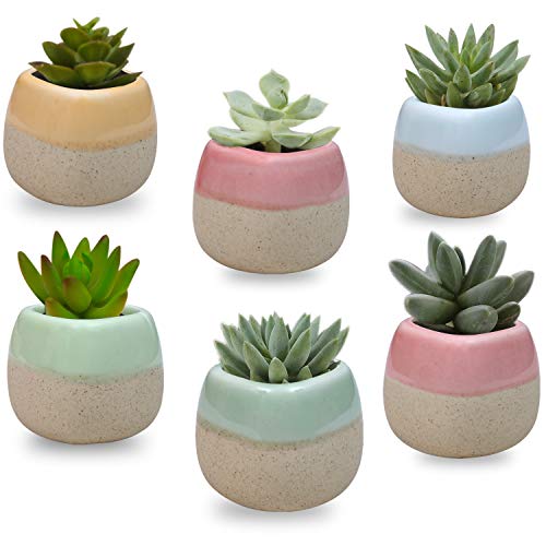 Mini Macetas Ceramica (Pack de 6) - 5.5 x 5.5 cm de Alto - Set Macetas Suculentas con Desagüé - Maceteros Decorativos - Ideal para el Hogar, Oficina, Interiores, Exteriores, Decoración del Jardín