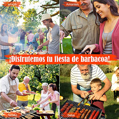 Minterest Barbacoa Portatil, Parrilla de Carbón de Barbacoa Plegable Portátil de Acero Mini Barbacoa Pequeña Inoxidable para Picnic al Aire Libre Patio Trasero Cocina 35 * 27 * 20CM