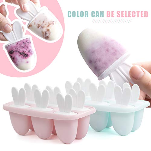 Moldes para Helados, 6 Reutilizable Moldes, Fabricador de Hielo de Paletas Libres de BPA Grado Alimenticio, Moldes Casero, Helados, para Bebés y Adultos (Rosa)