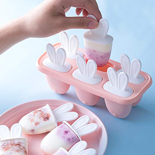 Moldes para Helados, 6 Reutilizable Moldes, Fabricador de Hielo de Paletas Libres de BPA Grado Alimenticio, Moldes Casero, Helados, para Bebés y Adultos (Rosa)