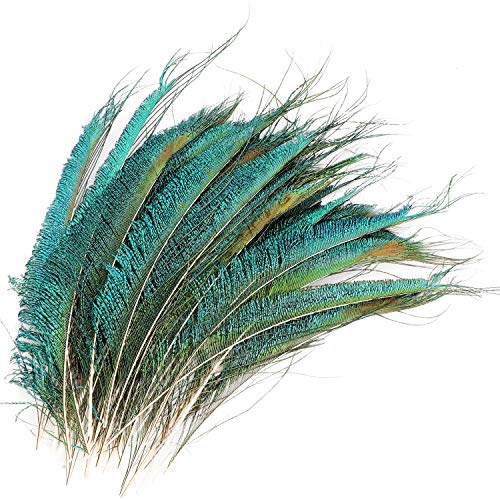 Mwoot 30pcs Natural Pavo Real Plumas de espada, Plumas de Pavo Real para la decoración del hogar DIY Jewelry Party Arte (25-35CM)