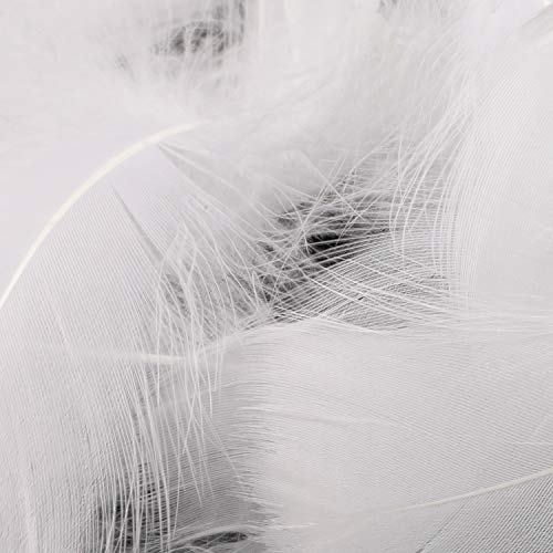 Mwoot White Feathers Plumas de Ganso, 250pcs Blanco Natural Plumas de Gallo Manualidades Decoración para Disfraces Hats, Hogar Bricolaje, Ropa Casa Fiesta (accesorio de disfraz)