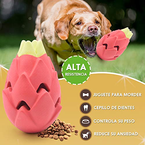 N / A Juguete masticable para Perros, dispensador de Alimentos, Resistente a Las mordeduras, Caucho Natural, Forma de Fruta, masticable para Perros, Apto para lavavajillas