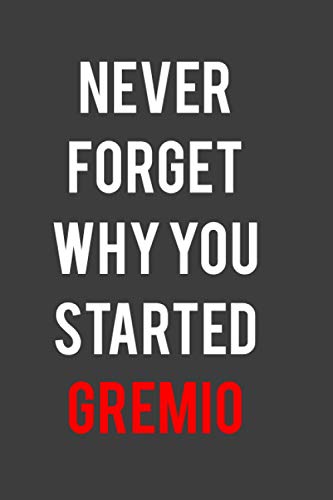 Never forget why you started Gremio: Lover, Notebook Lined pages, 6.9 inches,120 pages, White paper Journal