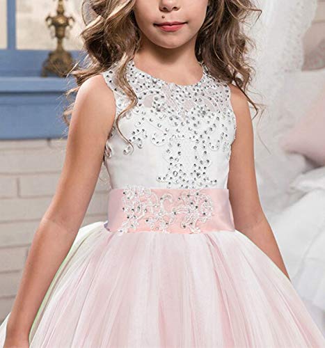 NNJXD Niñas Bordado De Encaje Flor De La Boda Fiesta De Cumpleaños Princesa Vestido de Cola Larga Tamaño (140) 9-10 Años Rosa