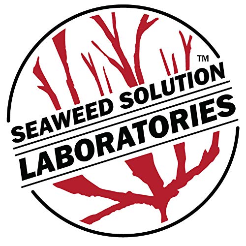 Nutrient Agar 100 grams by Seaweed Solution Laboratories