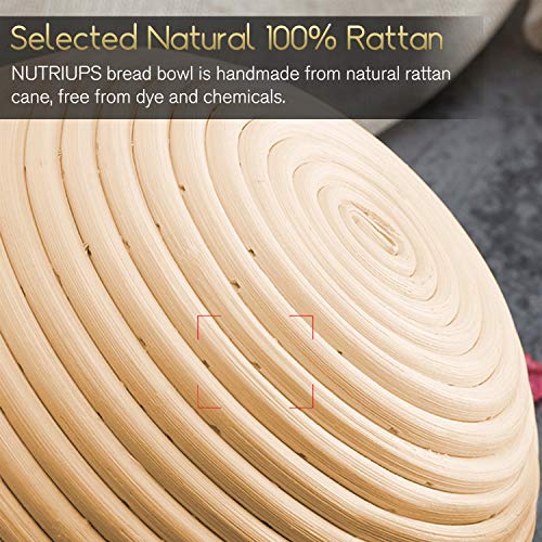 NUTRIUPS Cesta de Pan Redondo Banneton de 22 cm, A Prueba de Masa Agria, Stoffeinlage, Raspador, Cojo, Cepillo - Cesta Grande Natural para Panadero Casero (22 cm)