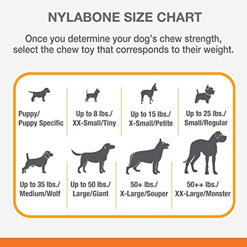 Nylabone - Juego de 2 Juguetes para Masticar Resistentes para Perros, con Sabor