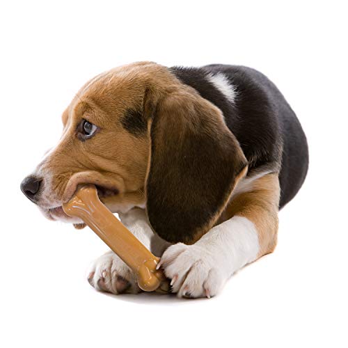 Nylabone - Juego de 2 Juguetes para Masticar Resistentes para Perros, con Sabor