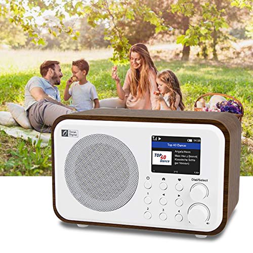 Ocean Digital WiFi Internet Radios WR-336N Radio digital portátil con batería recargable Receptor Bluetooth con pantalla a color de 2.4 ", 4 botones preestablecidos, soporte UPnP y DLNA-Negro