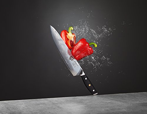 Orient Cuchillo de Chef Hoja de Acero Inoxidable de 24 cm Damasco AUS10 Japonés Ultra Filoso, el Mejor Cuchillo de Chef Profesional Gyuto Gyoto de 67 Capas con Caja de Regalo & Vaina