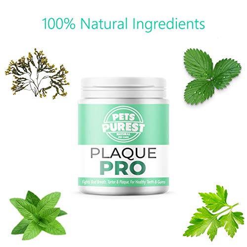 Pets Purest Polvo para Eliminación de Sarro y Placa para Perros, Cachorros y Gatos (180g) Plaque Clean 100% Natural para Animales. Limpia y Cuida Dientes Blancos y Encías. Ayuda contra el Mal Aliento