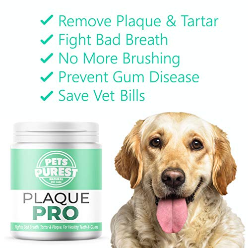 Pets Purest Polvo para Eliminación de Sarro y Placa para Perros, Cachorros y Gatos (180g) Plaque Clean 100% Natural para Animales. Limpia y Cuida Dientes Blancos y Encías. Ayuda contra el Mal Aliento