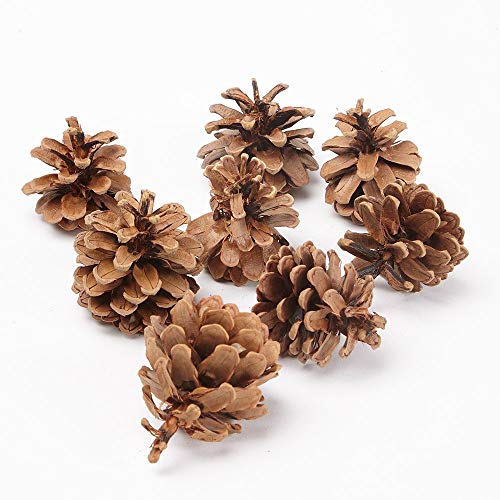 Piñas Naturales para Decoración Navideña - 1 kg (50 Unidades)