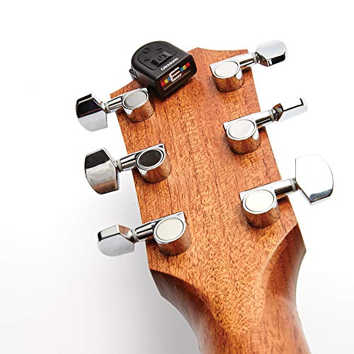 Planet Waves NS Micro Headstock Tuner - Sintonizador Ns de Guitarra con Pantalla Multicolor, Color Negro, Negro