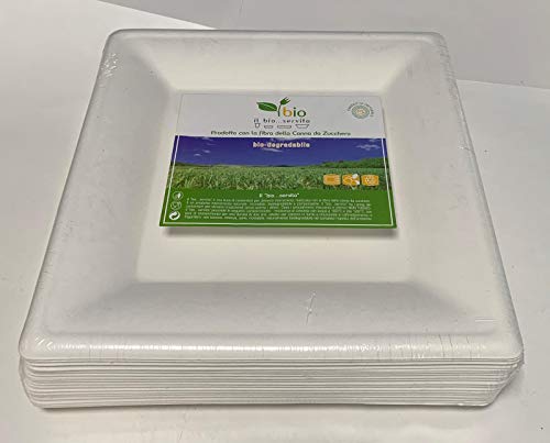 Plato cuadrado colescos srl biodegradable 26 cm fabricado con fibra de caña de azúcar (de microondas), venta en cartón con 10 paquetes de 50 unidades