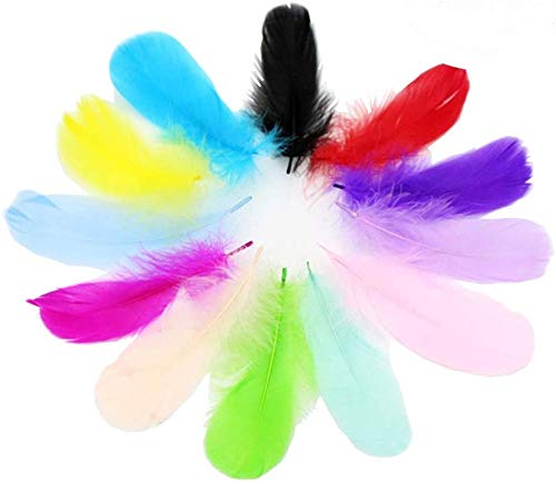 Plumas de Faisán,Plumas de Manualidades de Pollo,Plumas Manualidades Blancas,Plumas Artesania,Plumas Naturales,Plumas Manualidades Colores,Plumas Colores,Plumas Decoracion(300pcs)