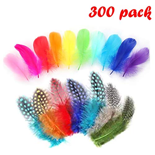 Plumas de Faisán,Plumas de Manualidades de Pollo,Plumas Manualidades Blancas,Plumas Artesania,Plumas Naturales,Plumas Manualidades Colores,Plumas Colores,Plumas Decoracion(300pcs)