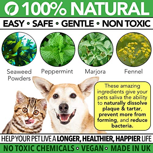 Polvo Para Eliminación de Sarro y Placa Para Perros, Cachorros y Gatos | 100% Natural para Animales | Plaque Clean | 100g | Limpia y Cuida Dientes Blancos y Encías | Ayuda Contra el Mal Aliento