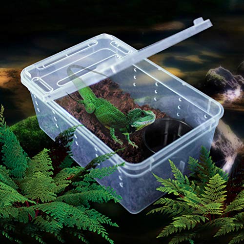 POPETPOP - Caja para Reptiles de plástico rectil, Caja para Alimentos, Recipiente para arañas, escorpión, gecos, Insectos, Serpientes, Tortugas