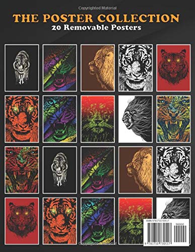 Poster Collection: Lion And Tiger Stare Animals