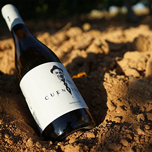 PRADOREY El Cuentista - Vino blanco - 100% Tempranillo - Ribera del Duero - Un blanc de noirs con 9 meses en barrica - - 1 Botella - 0,75 L