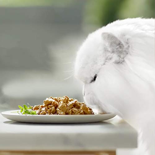 Purina Gourmet Perle Finas Láminas comida para gato en Gelatina Surtido 12 x [4 x 85 g]