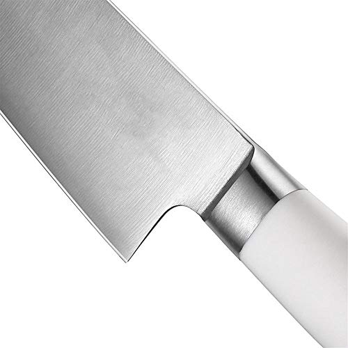 QURIURJ 8" Pulgadas Cuchillo Cocinero Verduras Carne Cuchillos de Cocina de Alto carbón alemán Mango de Acero Inoxidable 1.4116 ABS con Caja de Regalo (Kitchen Knife Size : 8 Inch)