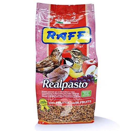 RAFF REALPASTO ALIMENTO PAJAROS FRUTIVEROS E INSECTIVOROS - Pasta DE Frutas 1 KG