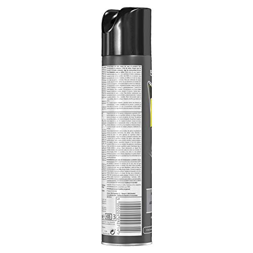 Raid - Insecticida para avispas en spray, acción fulminante, uso interior, aerosol 300 ml