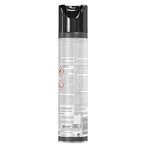 Raid - Insecticida para avispas en spray, acción fulminante, uso interior, aerosol 300 ml