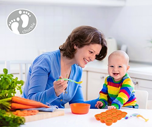 Recipientes Molde para Comida de Bebé con Tapa (12 Porciones de 75 ml) - Silicona Premium, Sin BPA y Aprobada por la FDA| Ideal para el Destete, Conservación, Congelar Porciones Purés Papillas Sopas.