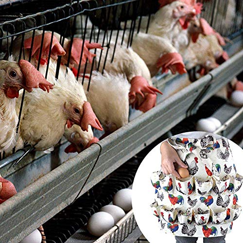 Redcolourful - Delantal para recoger huevos y recoger huevos de alta calidad con bolsillos para gallina, gallina, gallina, pato, huevo, gallo, modelos adultos