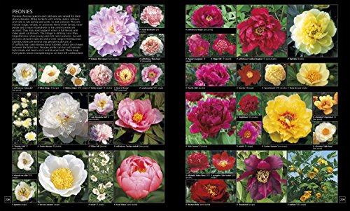 RHS Encyclopedia of Plants and Flowers