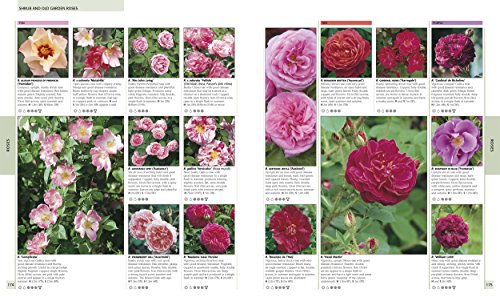 RHS Encyclopedia of Plants and Flowers