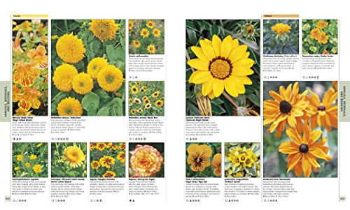 RHS Encyclopedia of Plants and Flowers