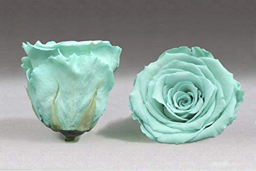 Rosa eterna Azul Turquesa. Gratis TU ENVÍO.Pirámide Espejo de 20 cm de Altura y Rosa eterna Azul Turquesa de 6 cm con remates artesanales, Musgo liofilizado y Flores preservadas. Hecho en España