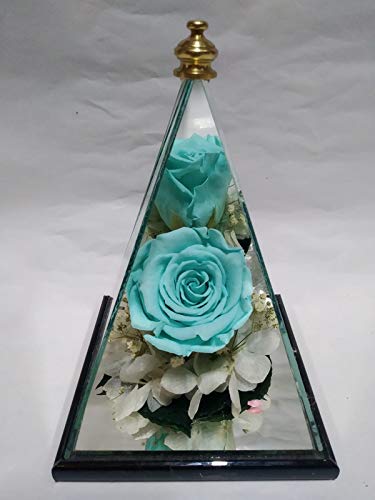 Rosa eterna Azul Turquesa. Gratis TU ENVÍO.Pirámide Espejo de 20 cm de Altura y Rosa eterna Azul Turquesa de 6 cm con remates artesanales, Musgo liofilizado y Flores preservadas. Hecho en España