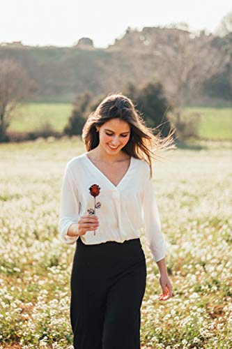 Rosa Eterna de Hierro Forjado Roja y Plateada - Forjada a Mano