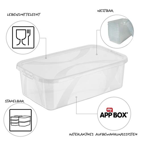 Rotho Arco, Caja de almacenamiento de 10l con tapa, Plástico PP sin BPA, transparente, 10l 36.3 x 26.6 x 13.4 cm