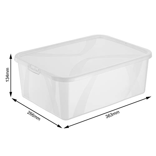 Rotho Arco, Caja de almacenamiento de 10l con tapa, Plástico PP sin BPA, transparente, 10l 36.3 x 26.6 x 13.4 cm