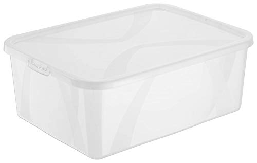 Rotho Arco, Caja de almacenamiento de 10l con tapa, Plástico PP sin BPA, transparente, 10l 36.3 x 26.6 x 13.4 cm