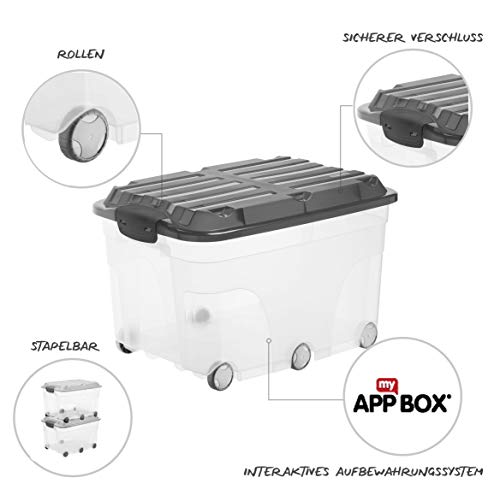 Rotho Roller 6, Caja de almacenaje de 57l con tapa y ruedas, Plástico PP sin BPA, transparente, antracita, 57l 59.5 x 40.0 x 37.0 cm